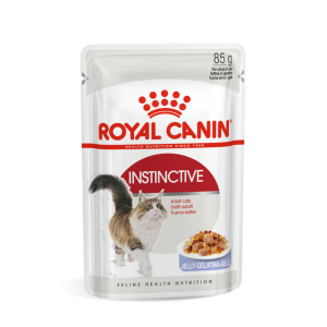  ROYAL CANIN ADULT INST JELLY 